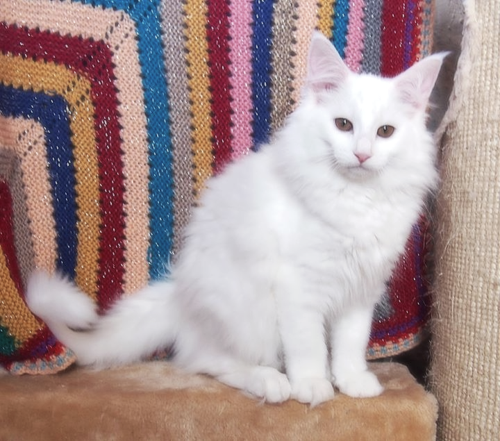 Almost 4 months old