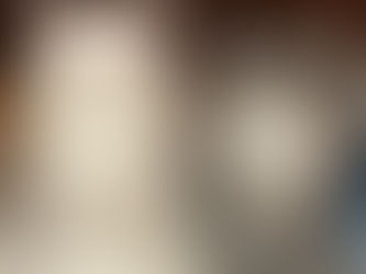 gattini norvegesi delle foreste a pelo lungo