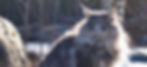 fru pedresens isak sylvester_edited.jpg