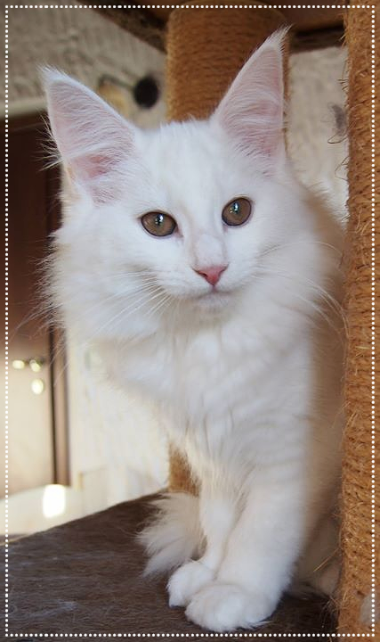 4 months old