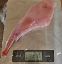 pesare ossa polpose di coniglio