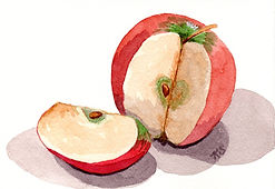 cut apple painting.jpg