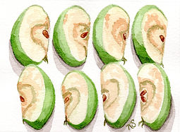 apple slices painting.jpg