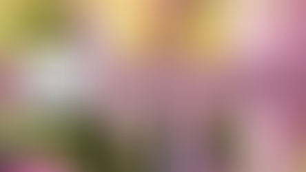 Spring Members’ Exhibition 2026: A Final Chapter on Marshall Street