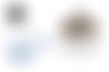 Sally Little Danyo Gallery Features Linda Popp