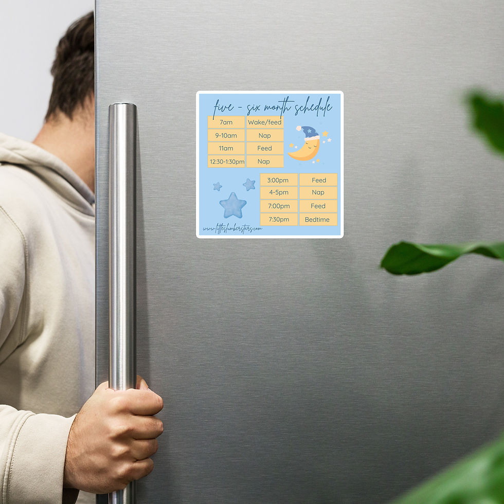 Thumbnail: 5-6 Month Schedule Magnet