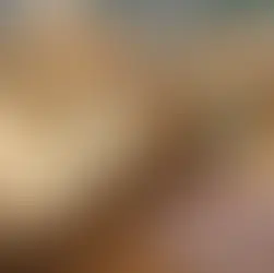 O CENÁRIO ECONÔMICO DURANTE E PÓS - PANDEMIA