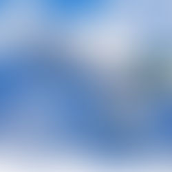 POR QUE O GOVERNO EXISTE?