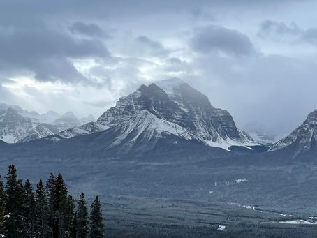 Mountain Beauty
