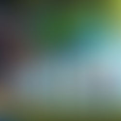 Tanzania's human rights body calls for urgent action to combat child abductions