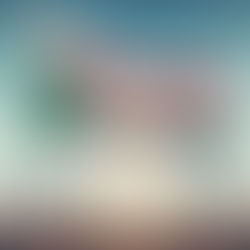 US senators call on Biden to sanction Sudan’s RSF over human rights abuses