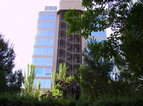 Jehovah’s Witnesses in Spain: One Won, One Lost on Appeal