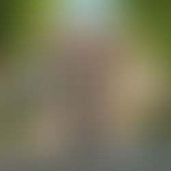 Commission’s unwarranted optimism about rule of law alarms human rights experts