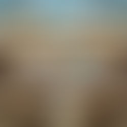 Successful conclusion of experts’ roundtable on reducing over incarceration and overcrowding in detention and prison facilities