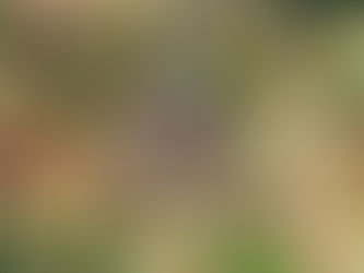 Attrazioni Ayutthaya