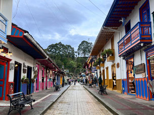 hotel Valle del cocora