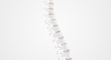 spinal-cord-with-red-details_edited_edited.jpg