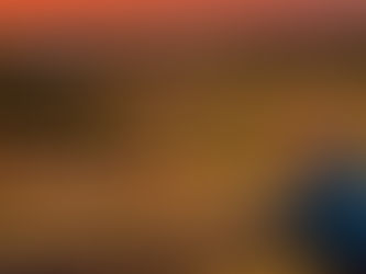 asesoría para proyectos ganaderos en Texas