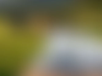 Calostro bovino o Calostro de vaca