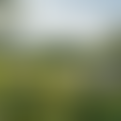 Ganadería Regenerativa