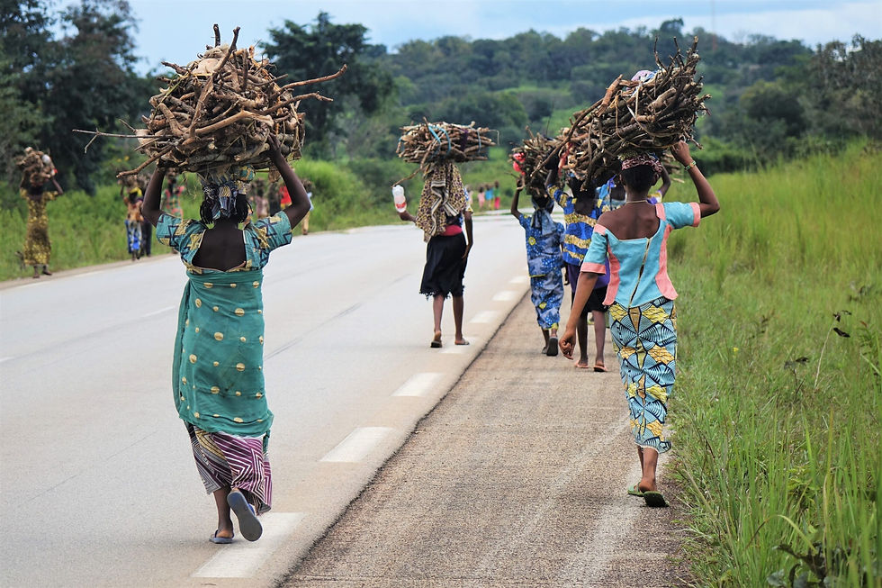FIREWOOD_tanzania__besttourexperience.jpg
