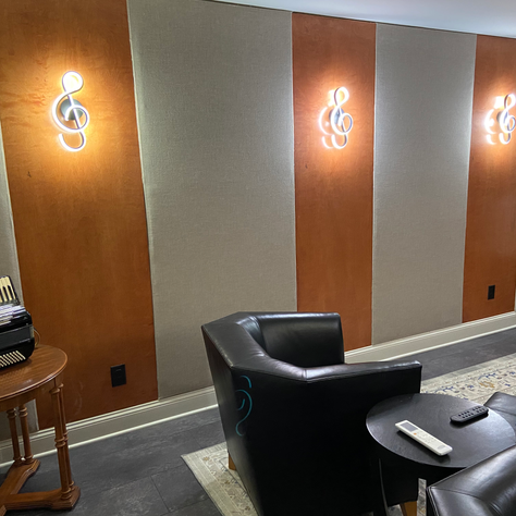 Home Theater and Music Room Project