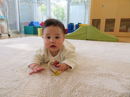 2023年が始まりました!