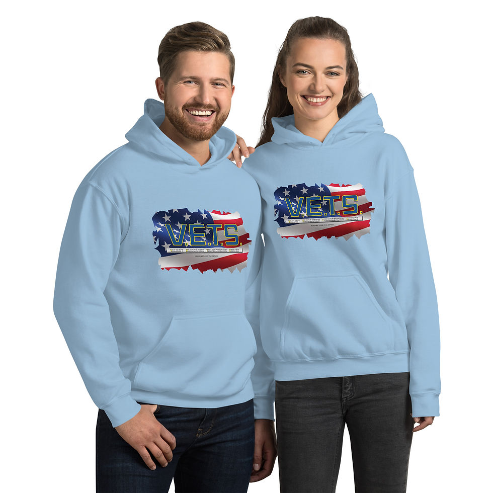 Thumbnail: V.E.T.S. Air Force Hoodie