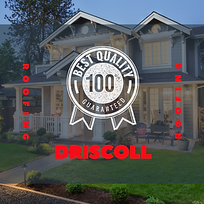 Copy of driscoll (2).png
