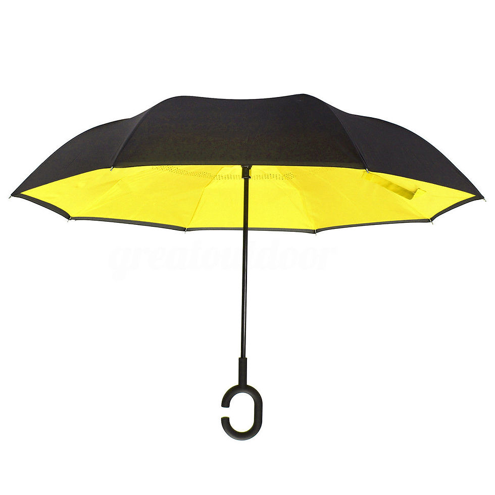 Thumbnail: WD210: Inversion Umbrella With C Holder