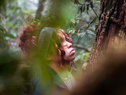 Menina olhando para o alto de árvore