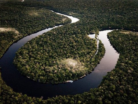 Vista aérea da região  Amazônica trabalhada. Projeto de documentação visual e levantamento de espécies para criação de uma Reserva de Uso Sustentável. 