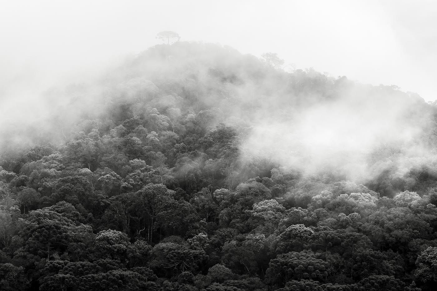 Fotografia de paisagem horizontal preto e branco