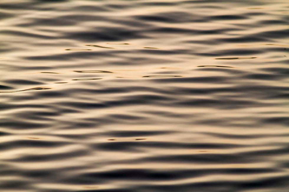 Golden waves on the water surface