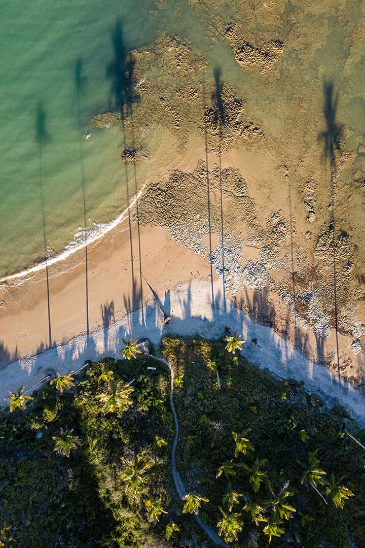 Vista aérea de uma praia com sombras de coqueiros projetadas sobre a areia e o mar