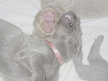 Die Welt mit den eigenen Augen entdecken