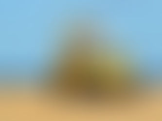 Passeio de Buggy na Foz do São Francisco