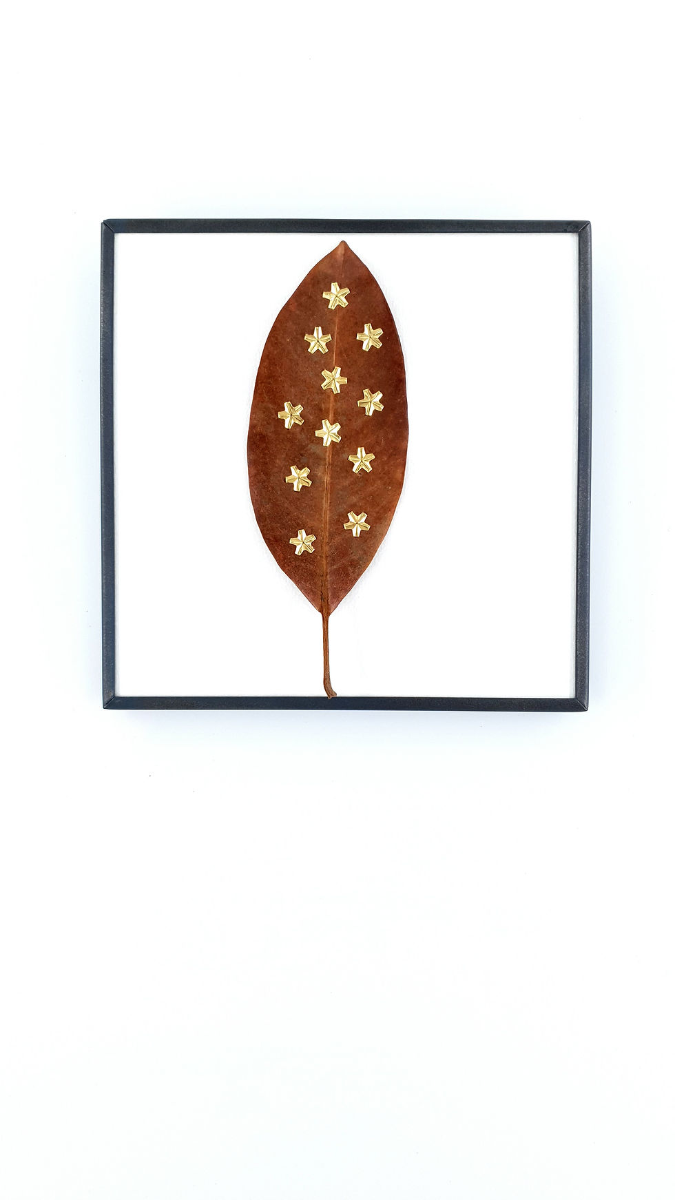 Thumbnail: Leaf of stars