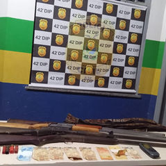 Homem é preso por extração ilegal de madeira avaliada em R$ 50 mil, em Barreirinha
