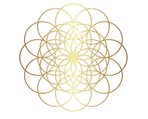 Color logo - no background_edited_edited