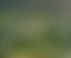 Outdoor Activities for Seniors in Elon