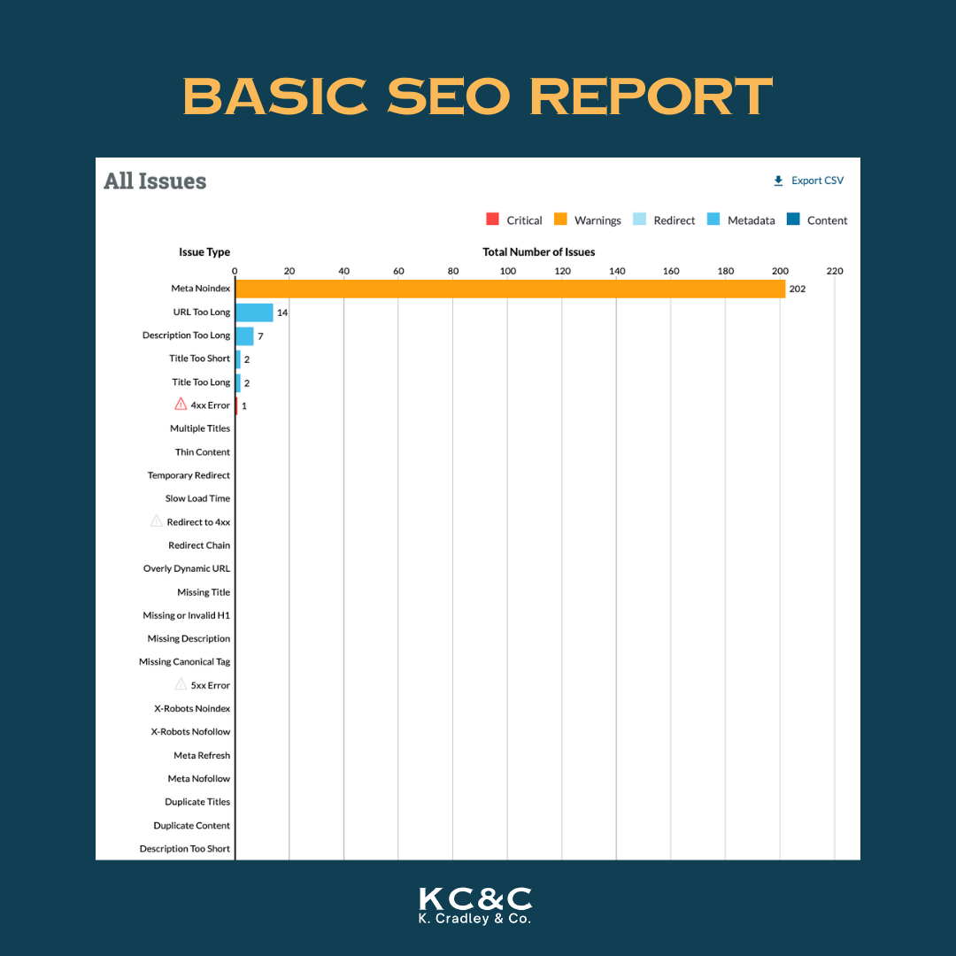 Basic SEO Report