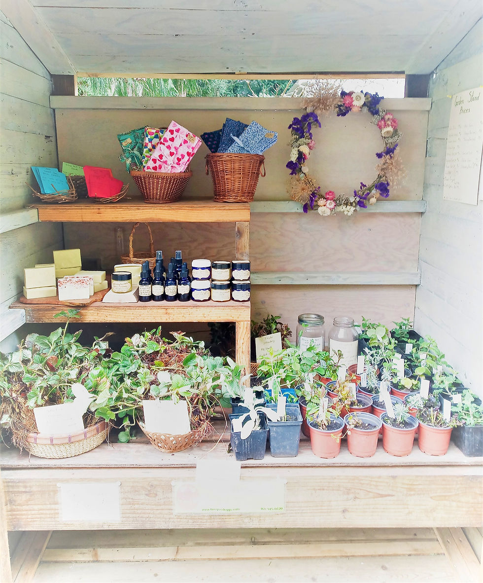 white washed wooden garden stand filled with handmade products, like a gift shop. Colorful cloth napkins, natural dried flower wreath, slow botanicals skin creams, natural soap bars and tinctures, and plants potted up. The beginning of slow botanicals company.