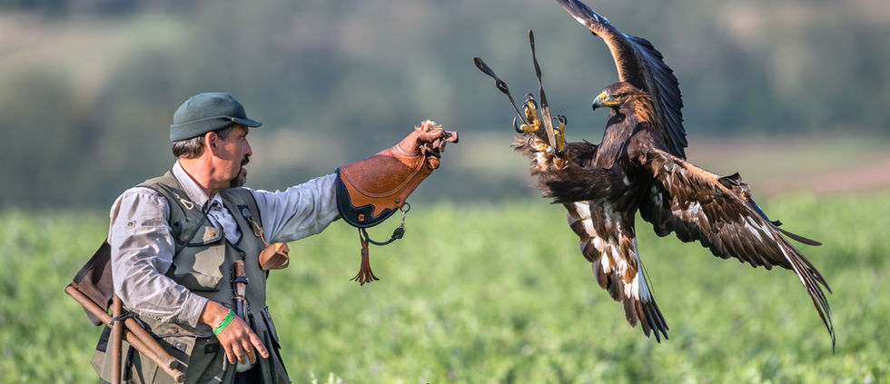 Beizjagd Fotografie, Adler Fotografie, Manfred Hesch, Salzkammergut
