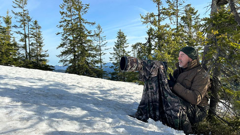 Black grouse, Black grouse hunting