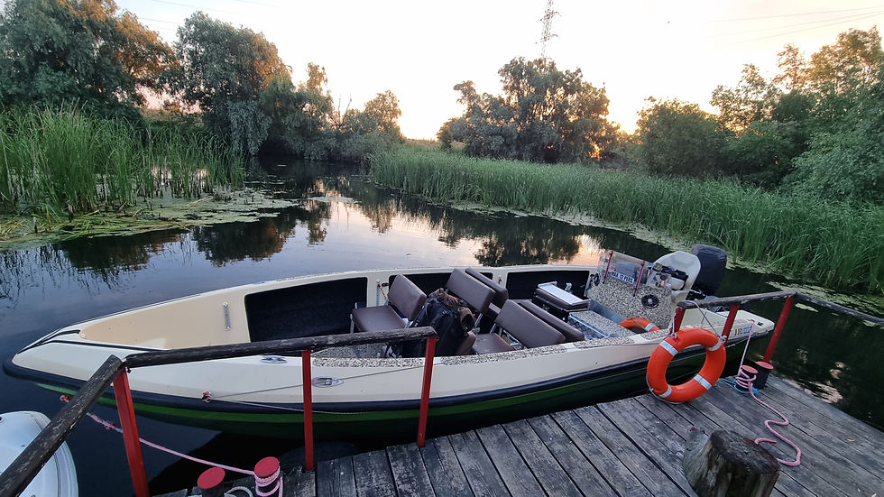 Donaudelta, Fotografie, Hausboot, Wildtiere, Vogelfotografie