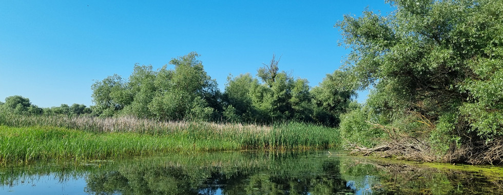 Donaudelta, Fotoreise, 