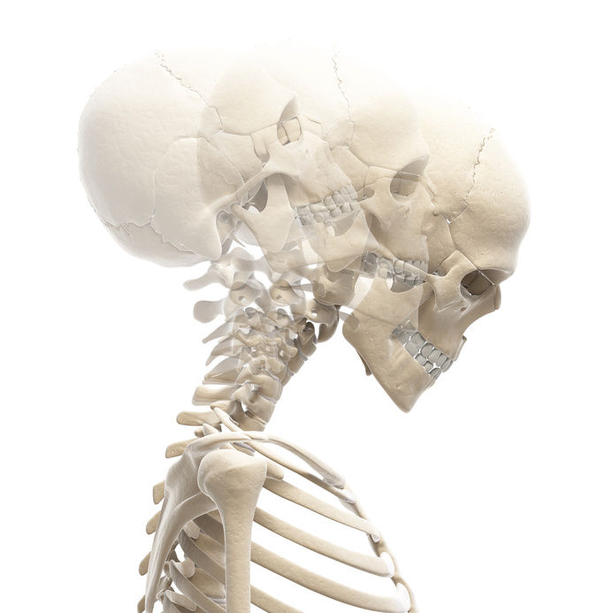 ostéopathe saint nazaire ; osteopathe saint nazaire 44600 ; kiné ostéopathe saint nazaire ; ostéopathe saint nazaire avis ; ostéopathe saint nazaire pages jaunes ; ostéopathe saint nazaire doctolib ; osteopathe saint nazaire 44 ; medecin osteopathe saint nazaire ; ostéopathe à st nazaire ; ostéopathe à saint-nazaire ; avis ostéopathe saint nazaire ; kinésithérapeute ostéopathe saint nazaire ; osteopathe du sport saint nazaire ; cabinet ostéopathe saint nazaire ; kine osteopathe a saint nazaire ; bon ostéopathe saint nazaire ; osteopathe sport saint nazaire ; ostéopathe a saint nazaire ; ostéopathe 44 ; ostéopathe 44600 ; ostéopathe guerande 44 ; doctolib ostéopathe 44 ; osteopathe saint nazaire 44 ; ostéopathe du sport 44 - cédric de tombeur ; osteopathe du sport 44 ; kine osteopathe 44 ; ostéopathe 44550 ; medecin osteopathe 44 ; meilleur ostéopathe 44 ; ostéopathe la baule ; ostéopathe la baule 44500 ; kiné-ostéopathe la baule ; ostéopathe la baule les pins ; ostéopathe la baule escoublac ; ostéopathe la baule avenue de lattre ; ostéopathe à la baule ; ostéopathe du sport ; sport apres seance osteopathie ; ostéopathe et sport ; ostéopathe du sport 44 ; ostéopathe saint-nazaire cédric de tombeur ; ostéopathe sport après ; ostéopathe sportif etude ; ostéopathe du sport nantes ; ostéopathe sport doctolib ; osteopathe du sport metier ; comment devenir ostéopathe du sport ; ostéopathe du sport 44 - cédric de tombeur ; osteopathe du sport saint nazaire ; ostéopathe du sport & kinésithérapeute ; ostéopathe du sport etude ; osteopathe sport saint herblain ; ostéopathe faire du sport ; ostéopathe pour sport ; kiné ostéopathe du sport ; ostéopathe du sport formation ; ostéopathe sportif nantes ; osteopathe du sport 44 ; ostéopathe et médecin du sport ; recherche ostéopathe du sport ; doctolib ; doctolib pro ; doctolib pour rendez vous ; doctolib osteo ; doctolib saint nazaire ; doctolib st nazaire ; doctolib.fr saint nazaire ; doctolib ostéopathe saint nazaire ; doctolib medecin saint nazaire ; doctolib medecin generaliste saint nazaire ; www.doctolib.fr saint nazaire ; doctolib nantes ; ostéopathe saint nazaire doctolib ; doctolib ostéopathe 44 ; ostéopathe sport doctolib ; ostéopathe saint nazaire pages jaunes ; ostéopathe trignac ; kiné saint nazaire ; osteopathe 44 ; ostéopathe saint brevin ; cap santé st nazaire ; ostéopathe la baule ; Ostéopathe du Sport 44 | Ostéopathe Saint-Nazaire | Cédric de TOMBEUR