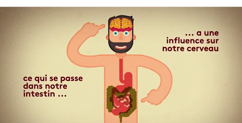 L'intestin, votre 2ème cerveau : ce qu'il se passe dans votre intestin influence votre humeur