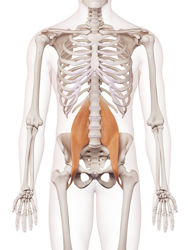 Traitement du psoas (muscle ilio-psoas, psoas-iliaque) | Ostéopathe du sport 44